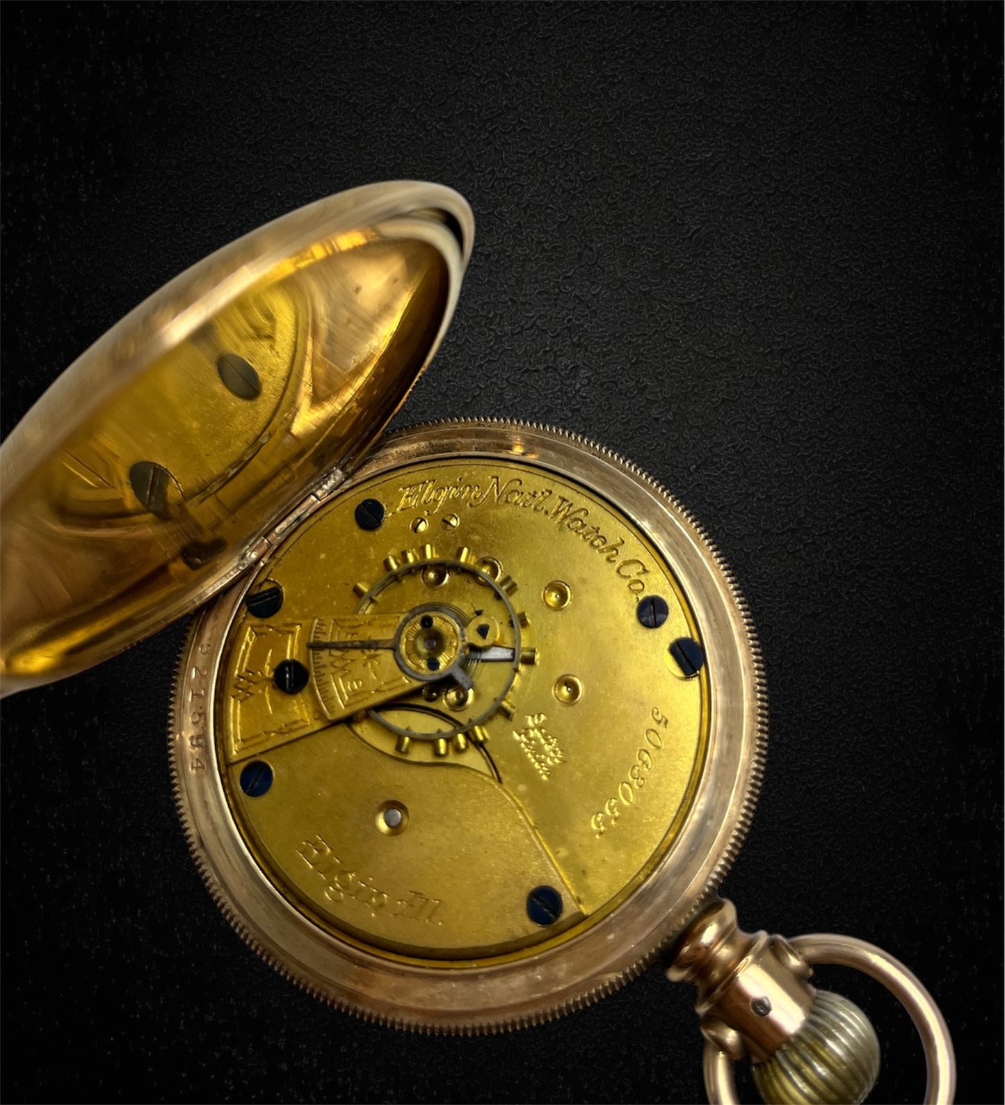 Elgin National Watch Co. con cassa Fahys Montauk n.1