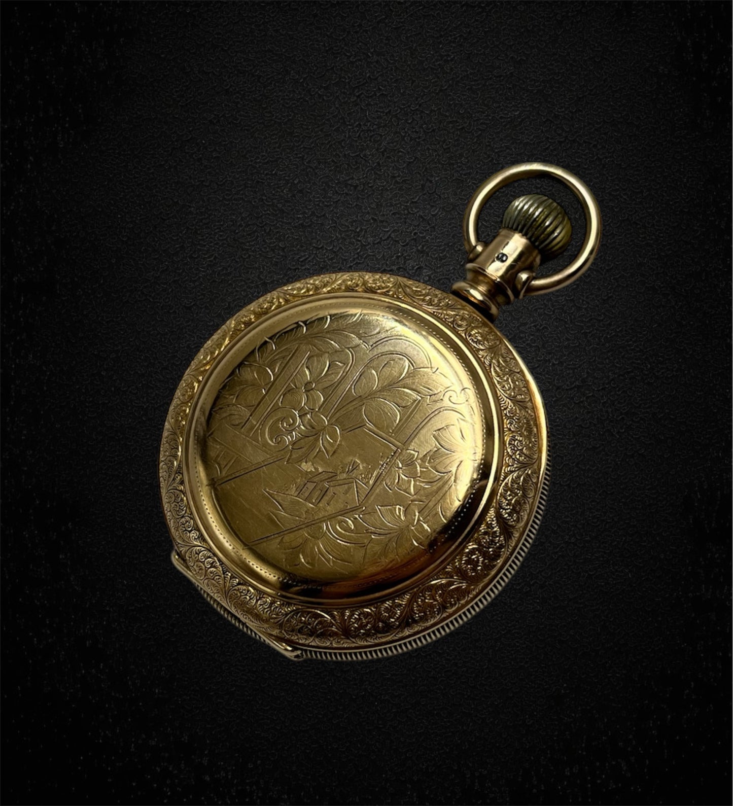 Elgin National Watch Co. con cassa Fahys Montauk n.1