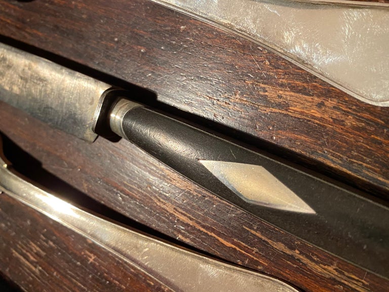 Set di Posate da Viaggio Diplomatico Savoia in Argento