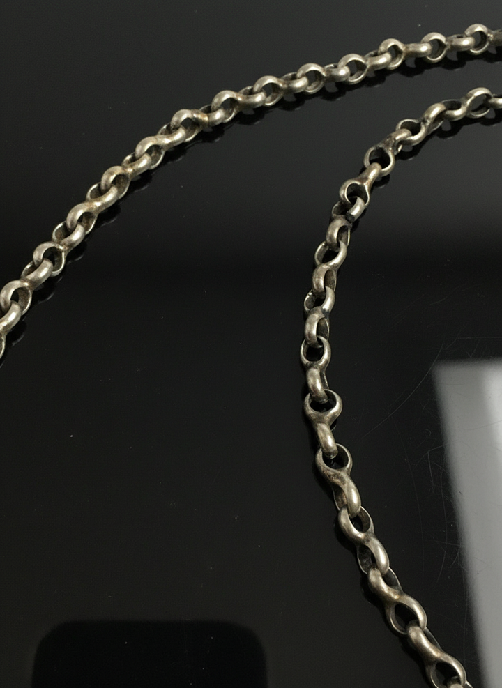 Catena in Argento con Ferro di Cavallo