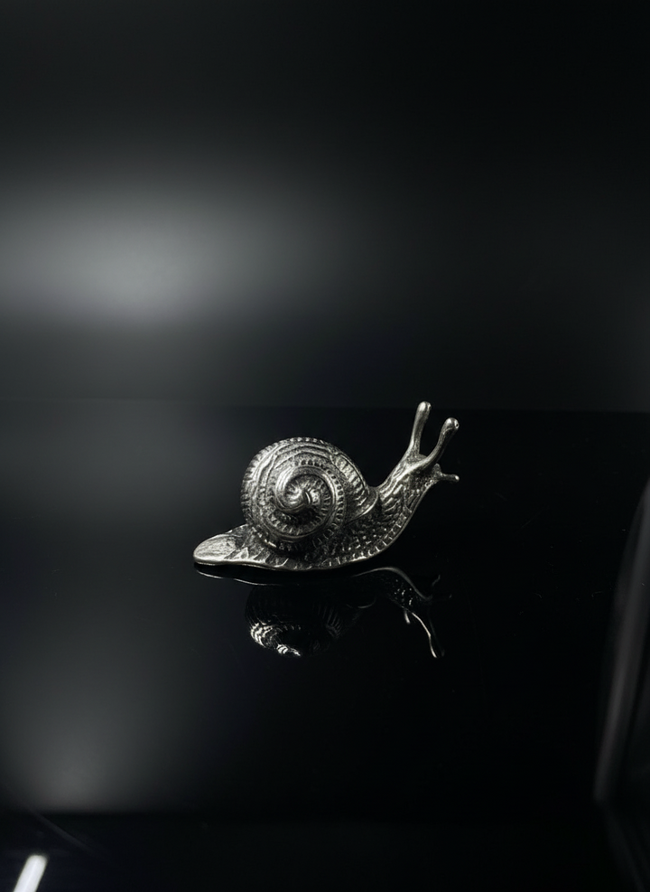 Lumaca in Argento 800