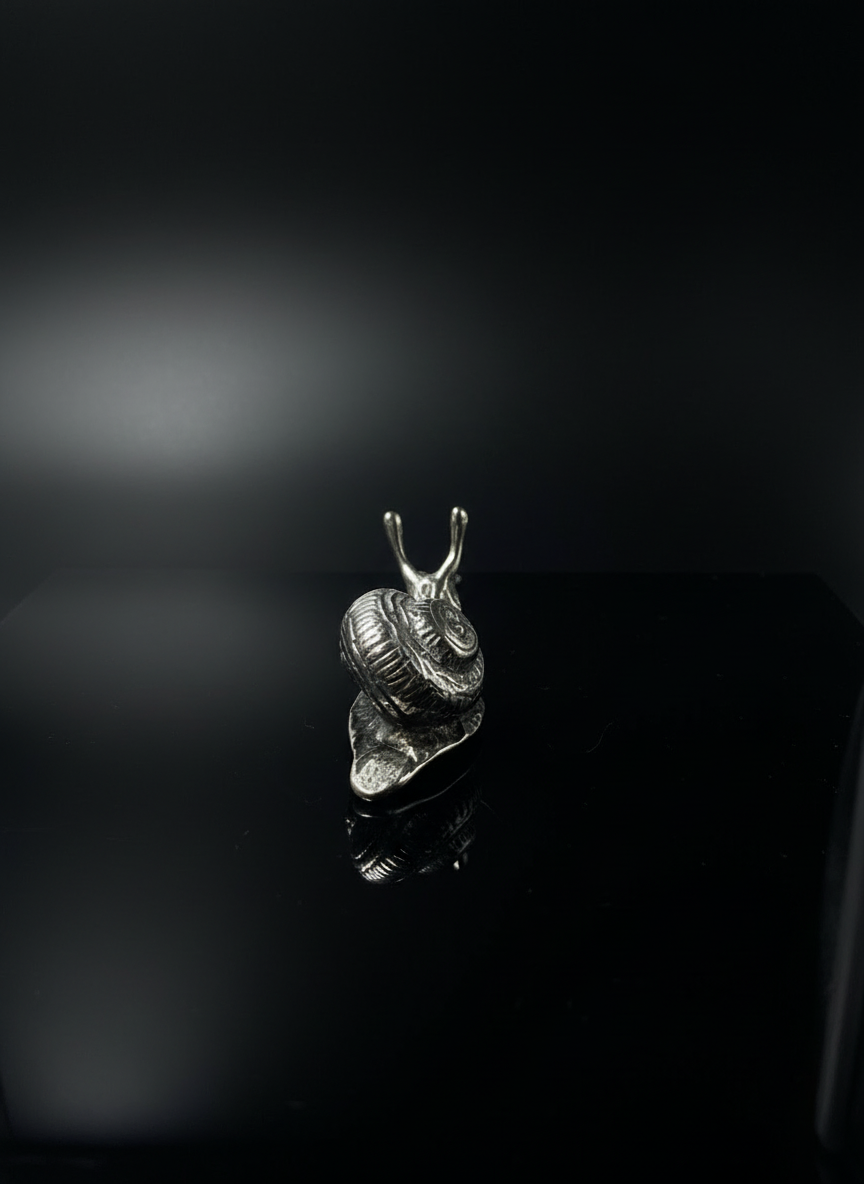 Lumaca in Argento 800