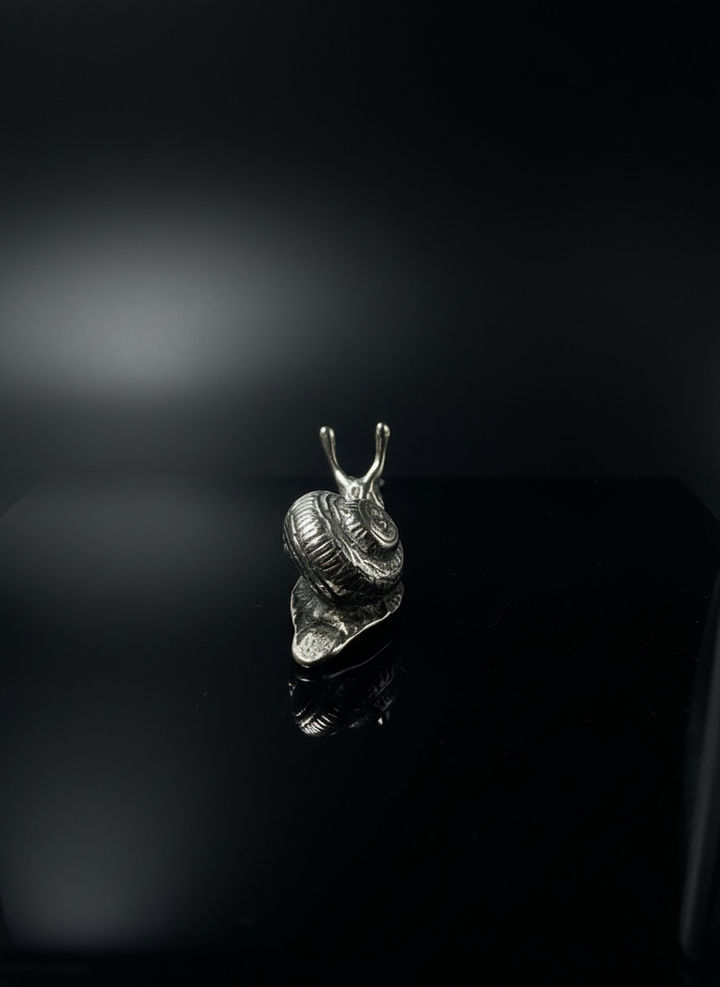 Lumaca in Argento 800