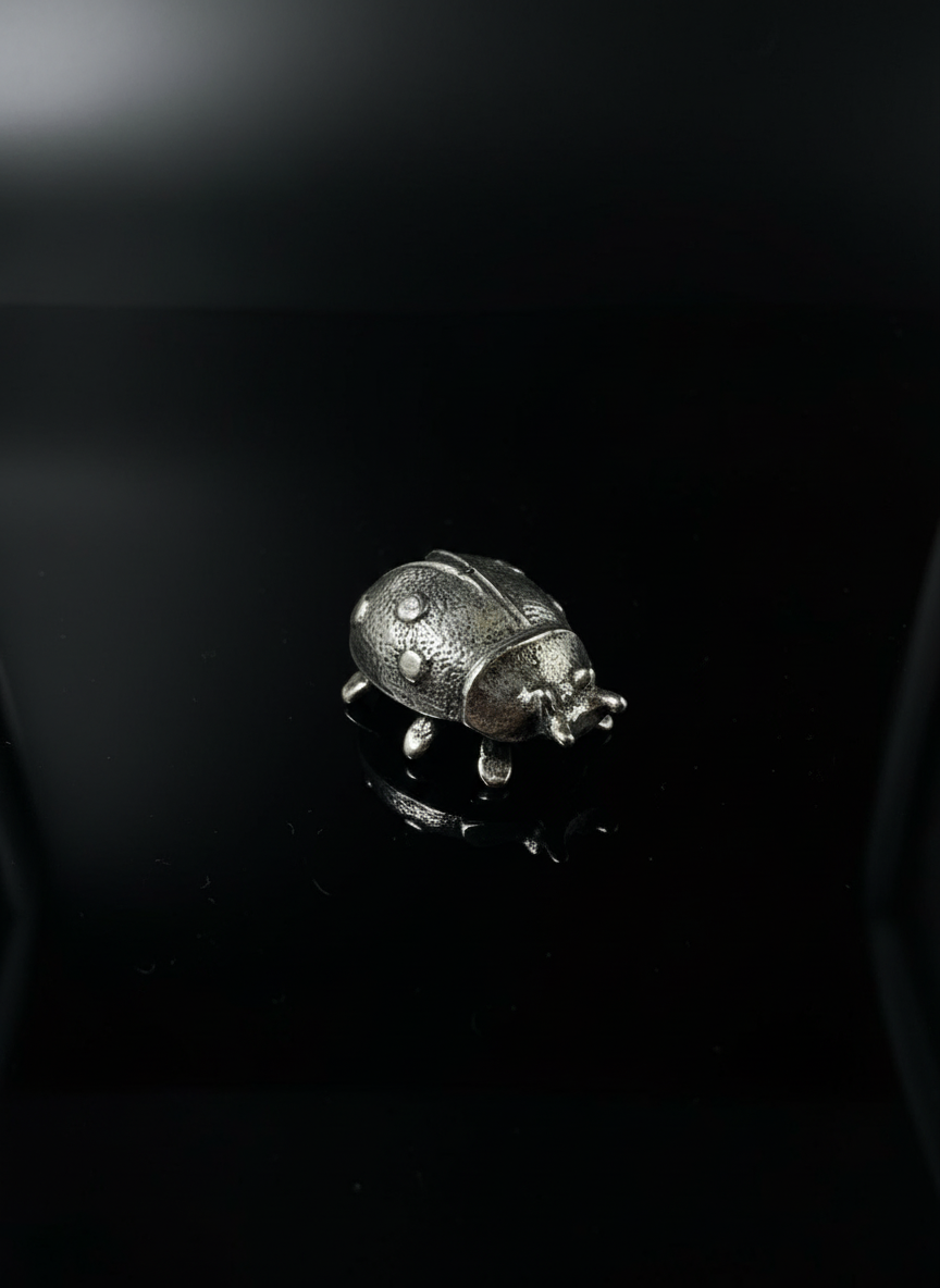 Coccinella in Argento 925