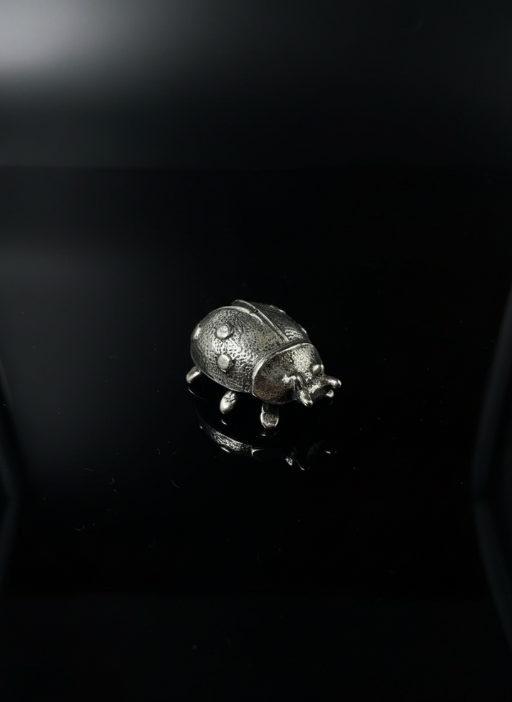 Coccinella in Argento 925
