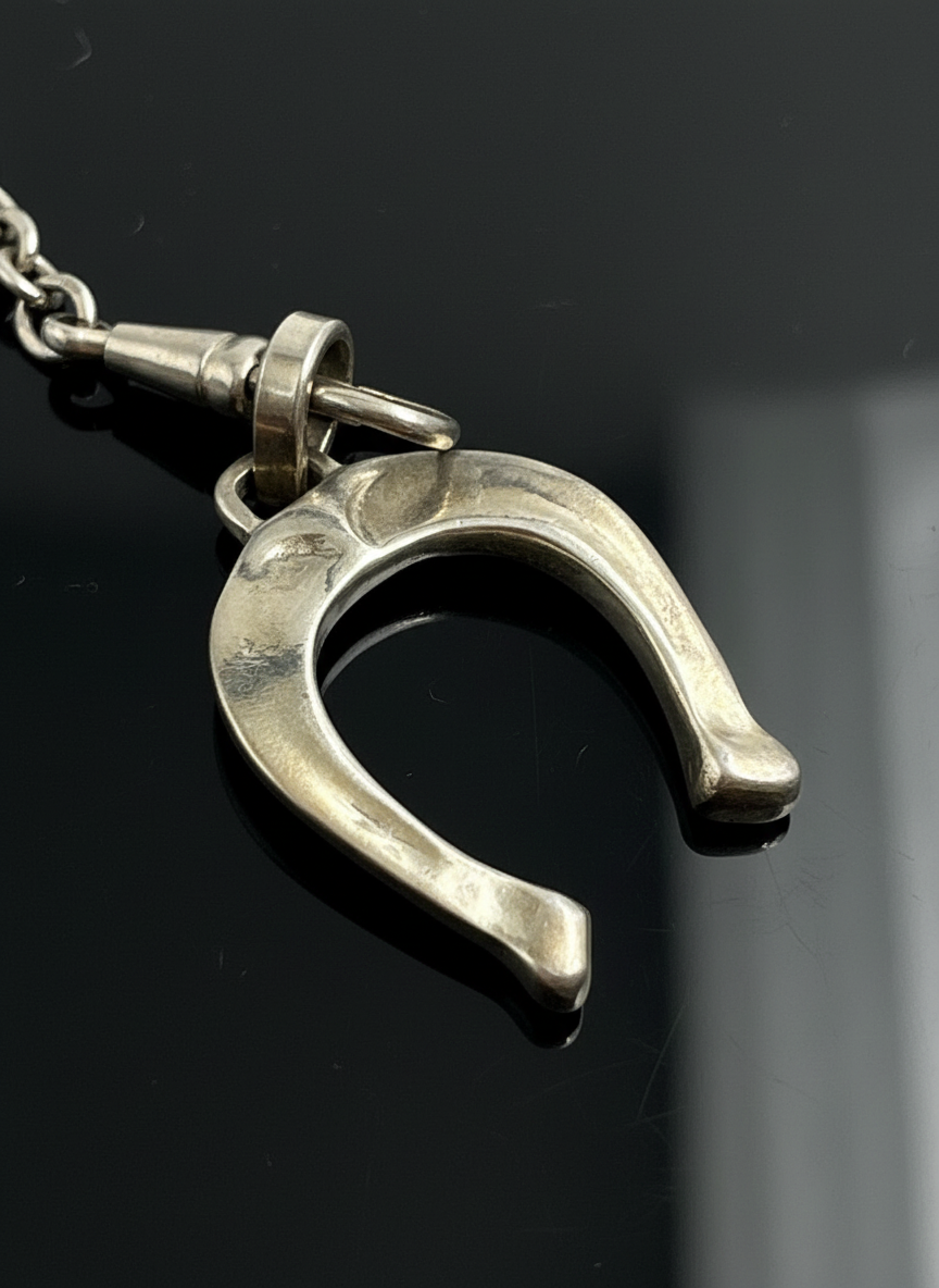 Catena in Argento con Ferro di Cavallo