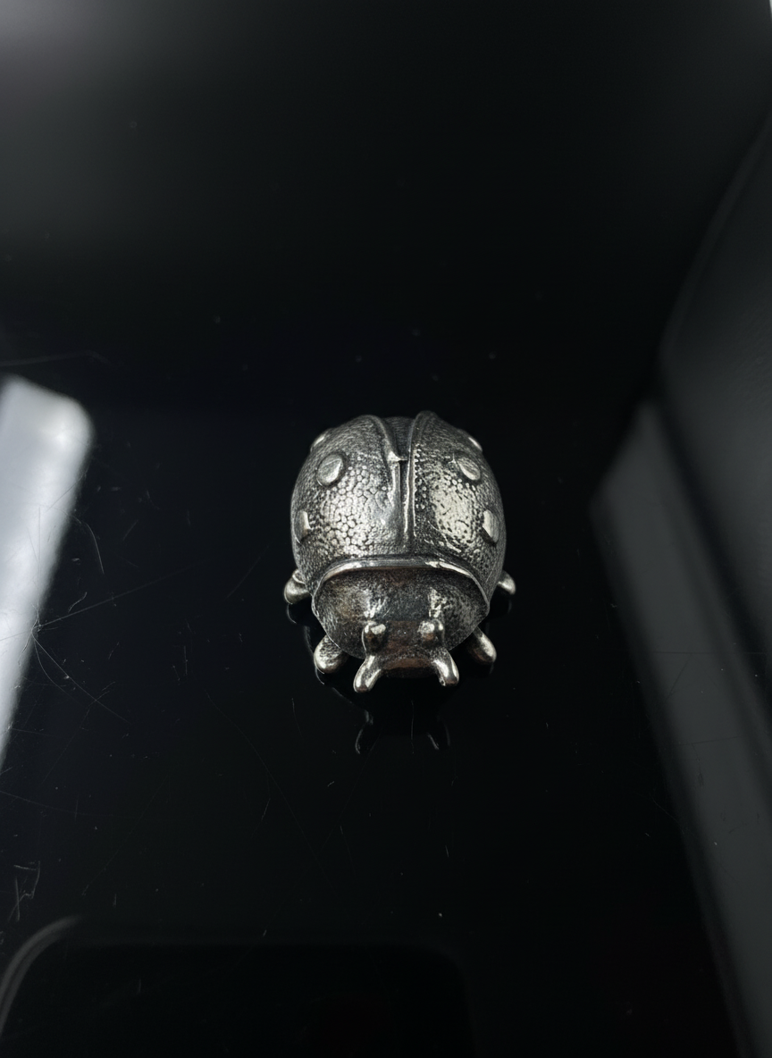 Coccinella in Argento 925