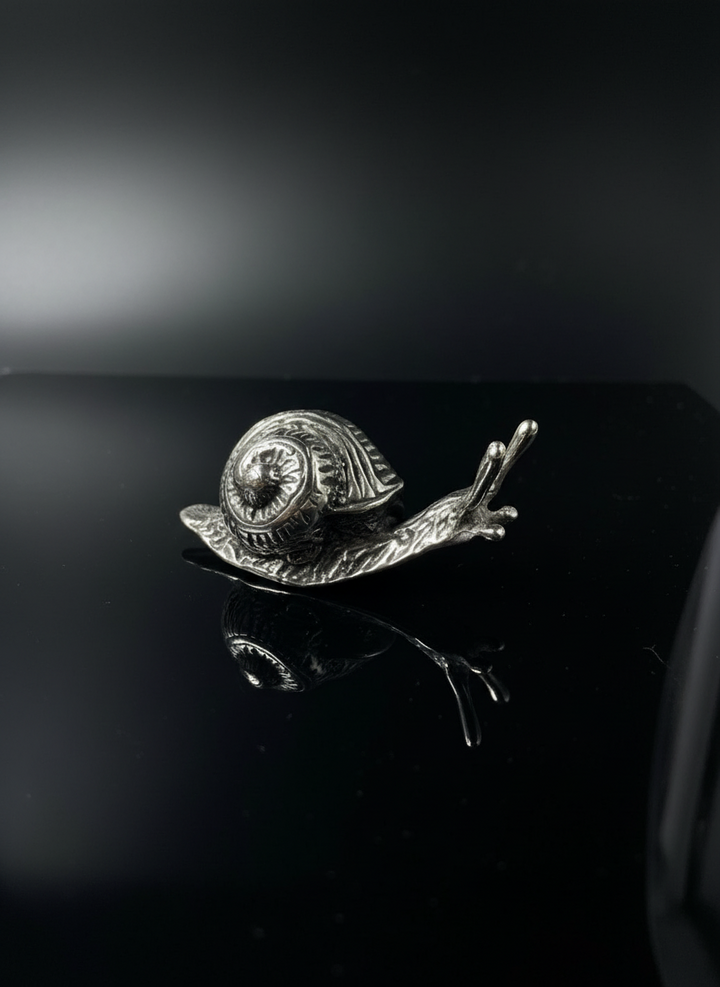 Lumaca in Argento 800