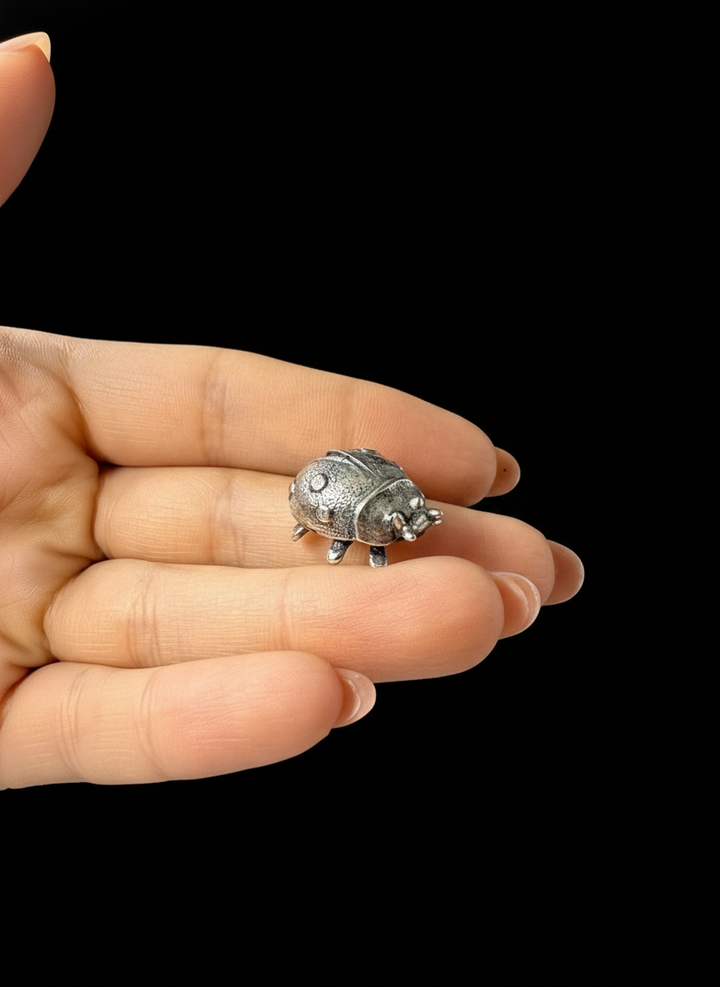 Coccinella in Argento 925