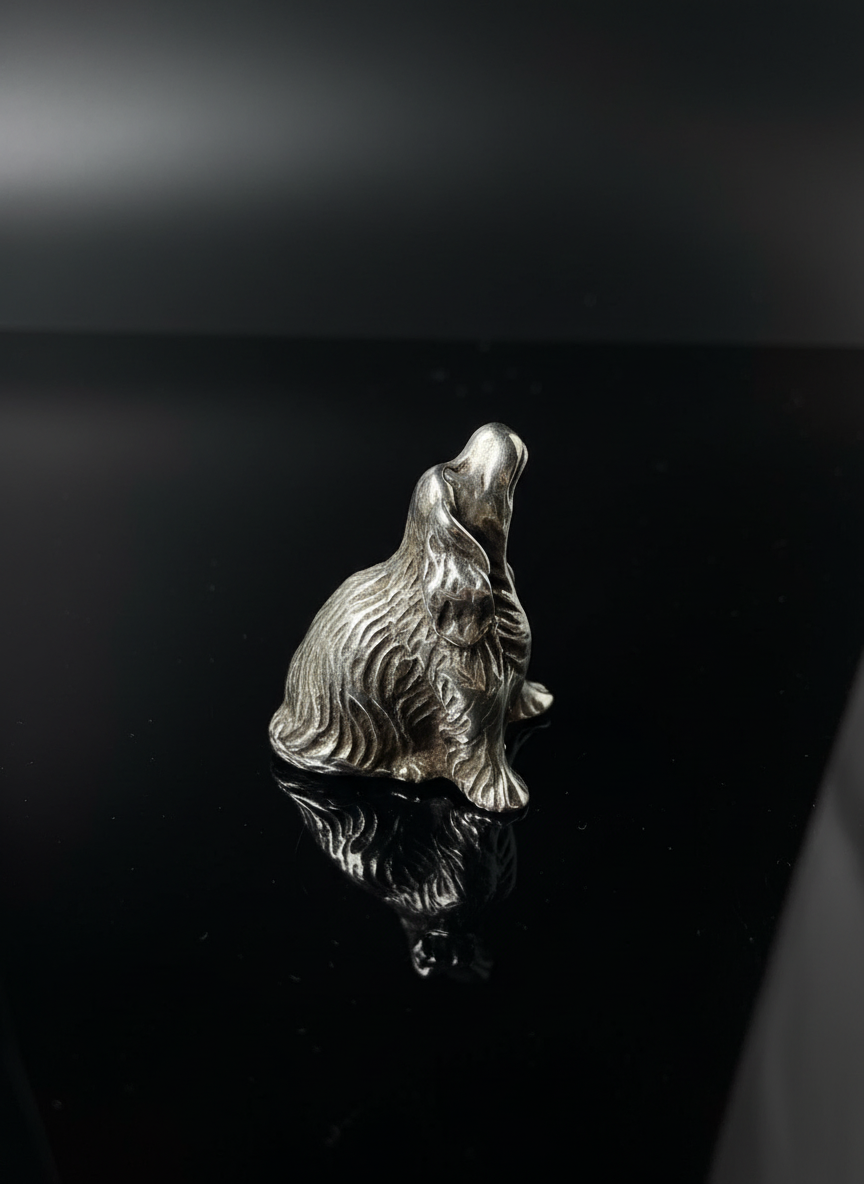 Cocker, in Argento 800