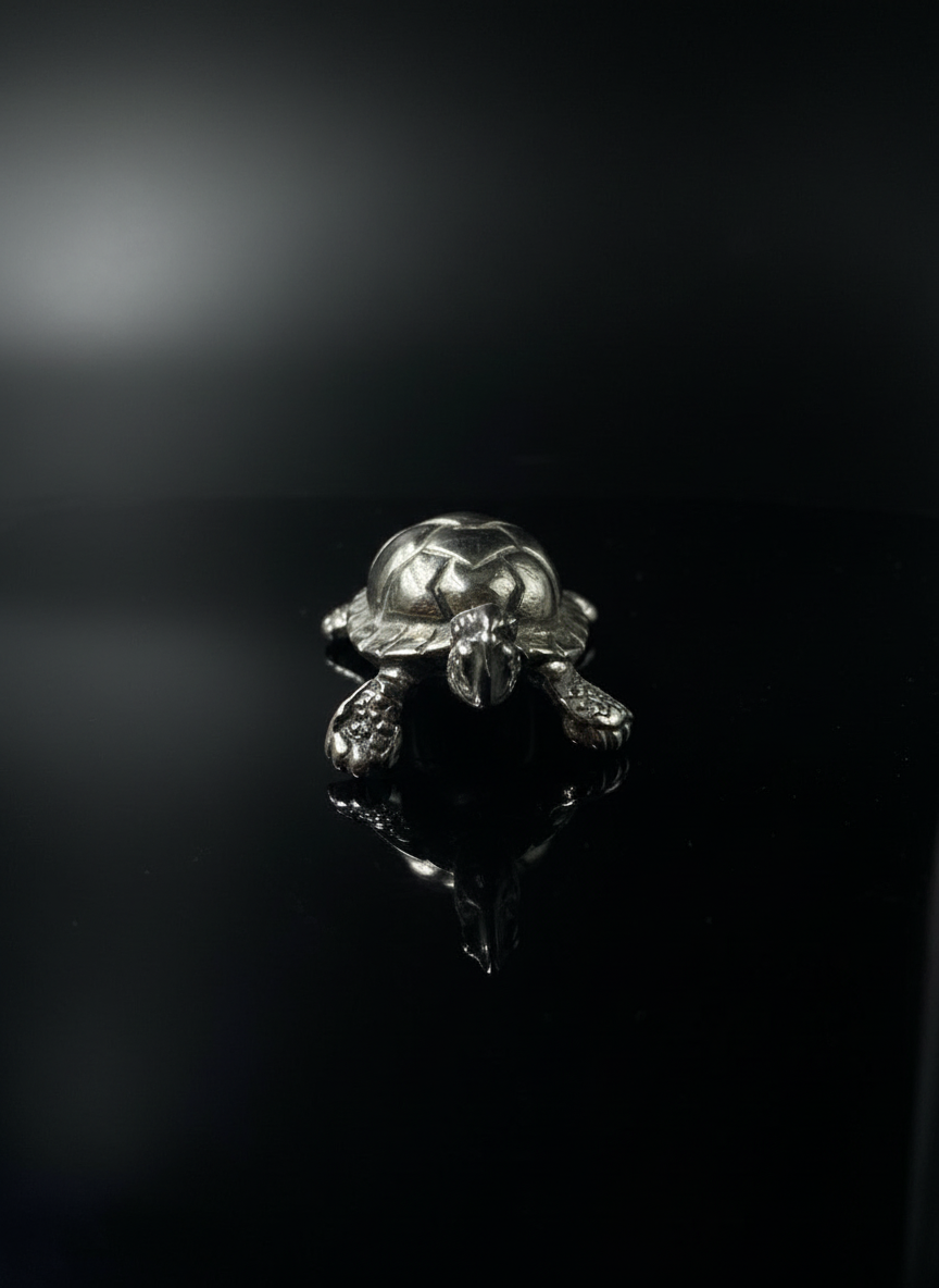 Tartaruga in Argento 925