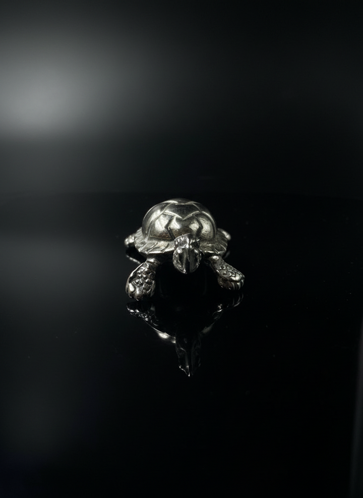 Tartaruga in Argento 925