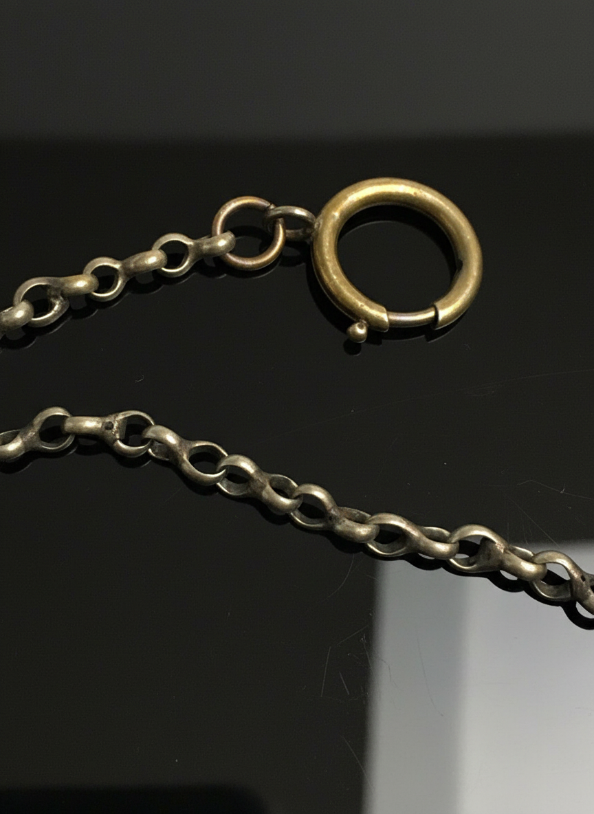 Catena in Argento con Ferro di Cavallo