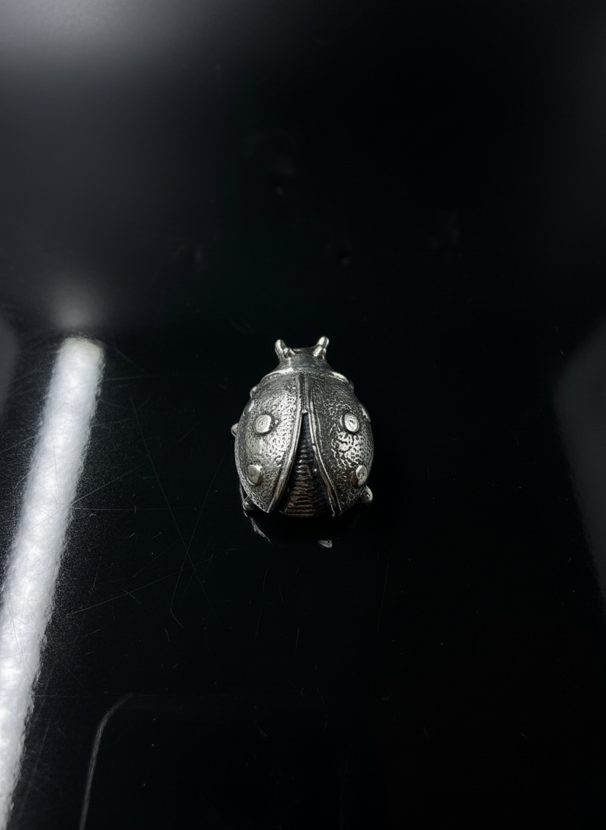Coccinella in Argento 925