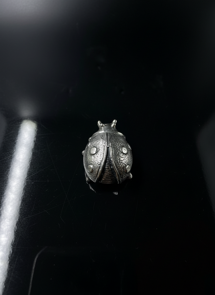 Coccinella in Argento 925