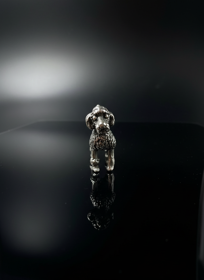 Barboncino in Argento 925