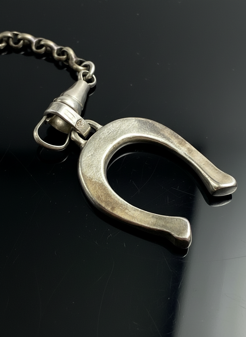 Catena in Argento con Ferro di Cavallo