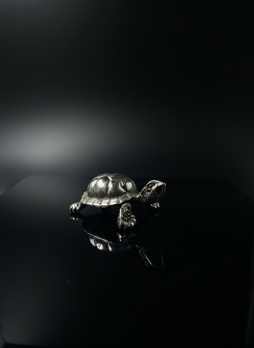 Tartaruga in Argento 925