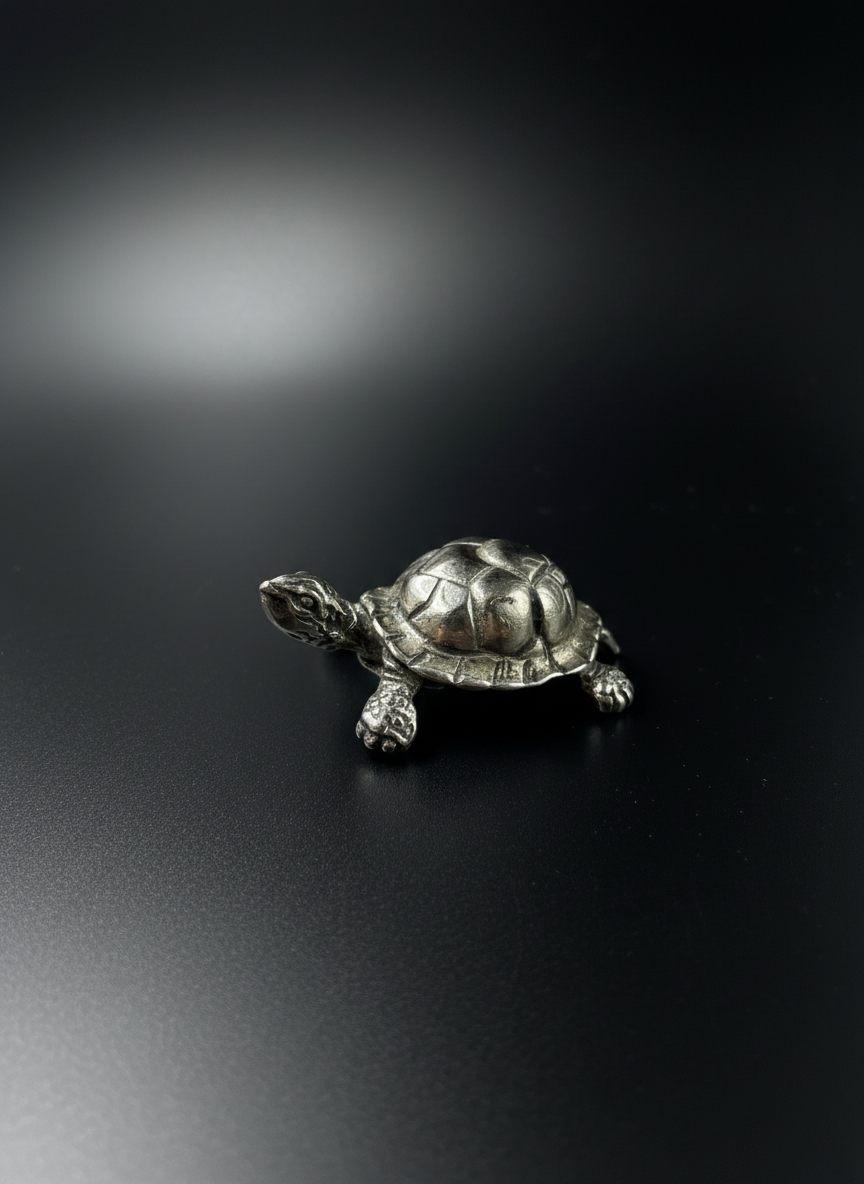 Tartaruga in Argento 925