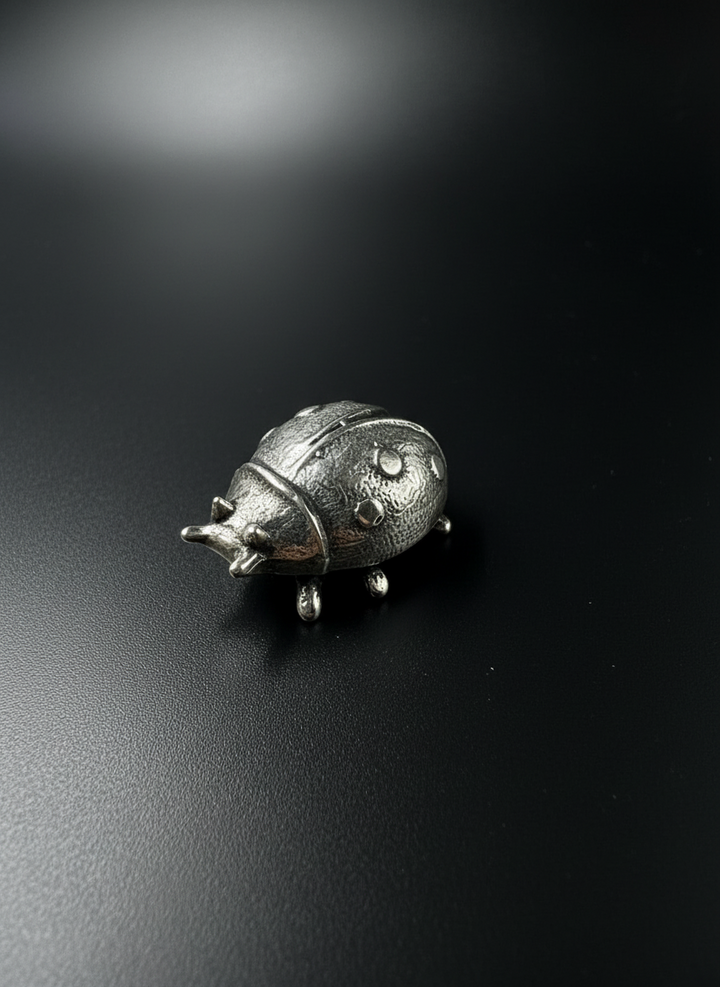 Coccinella in Argento 925