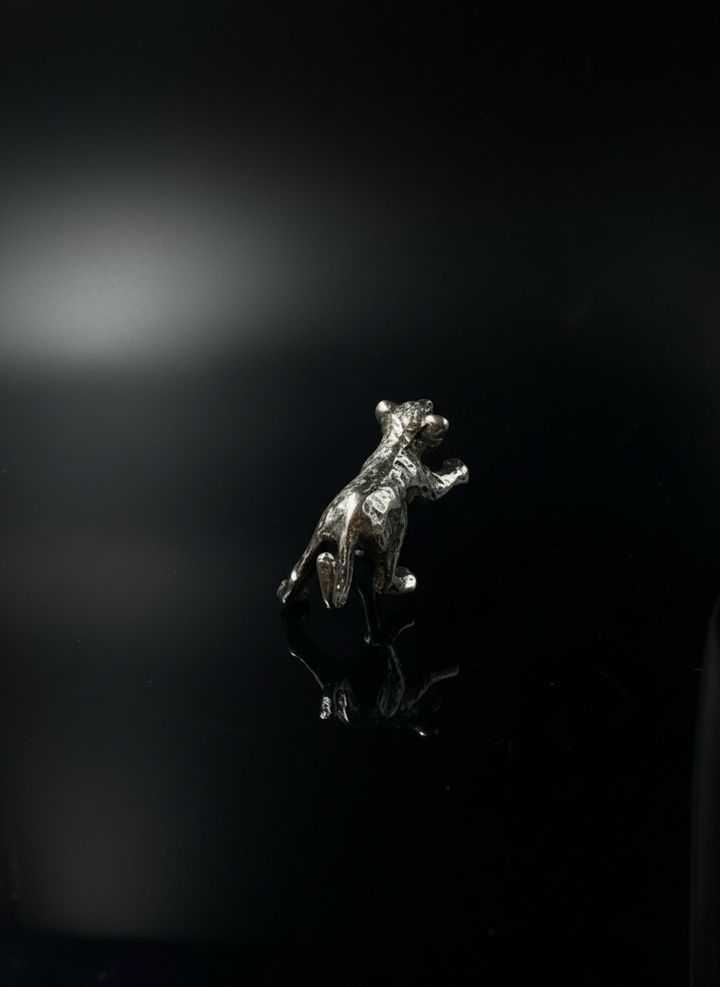 Leoncino in Argento 925