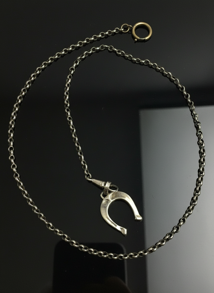 Catena in Argento con Ferro di Cavallo