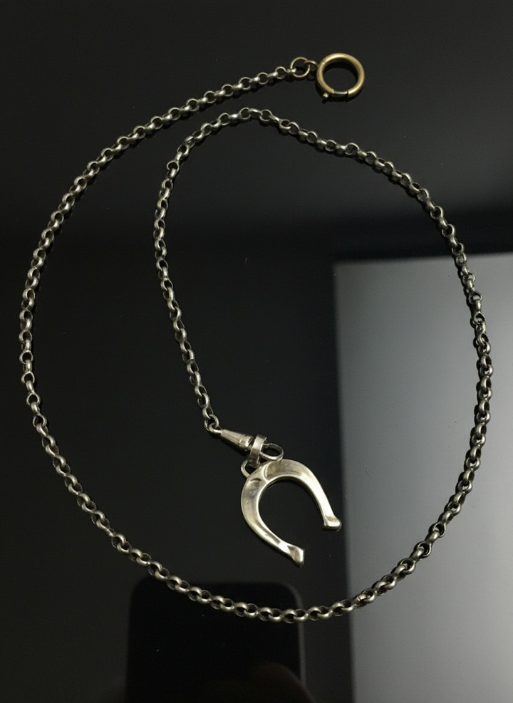 Catena in Argento con Ferro di Cavallo