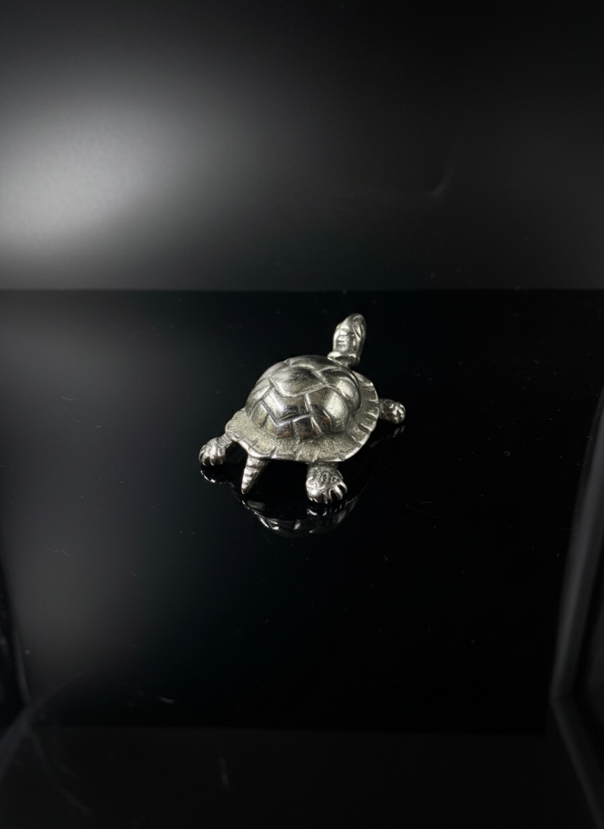 Tartaruga in Argento 925