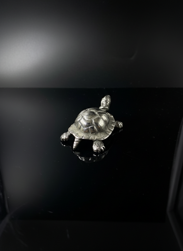 Tartaruga in Argento 925