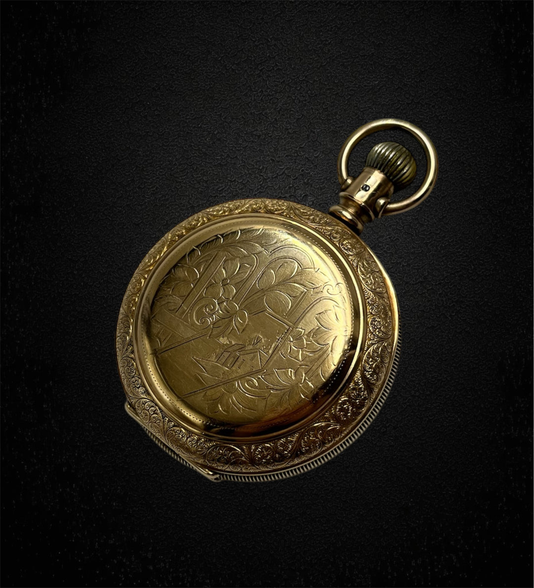 Elgin National Watch Co. con cassa Fahys Montauk n.1