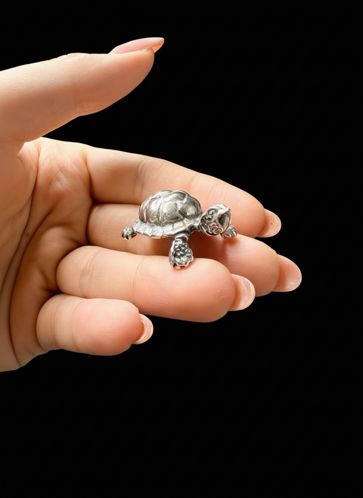 Tartaruga in Argento 925