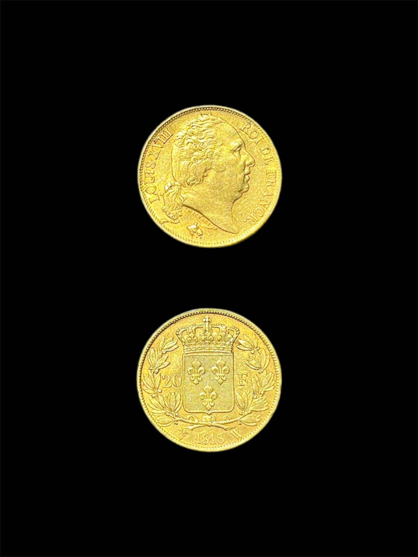 20 Franchi Francesi Luigi XVIII