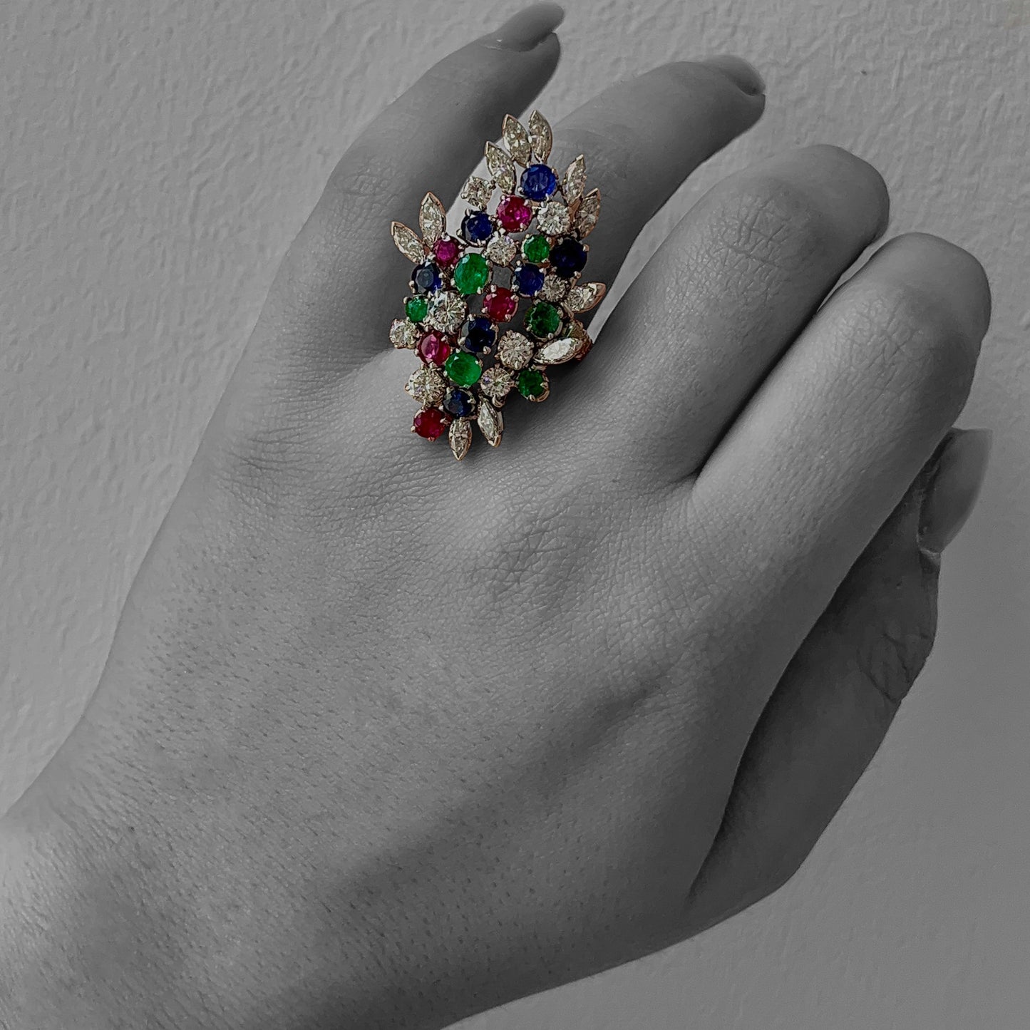 The "colors of life" ring