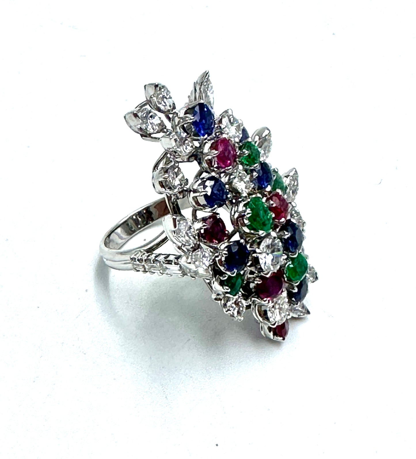 The "colors of life" ring